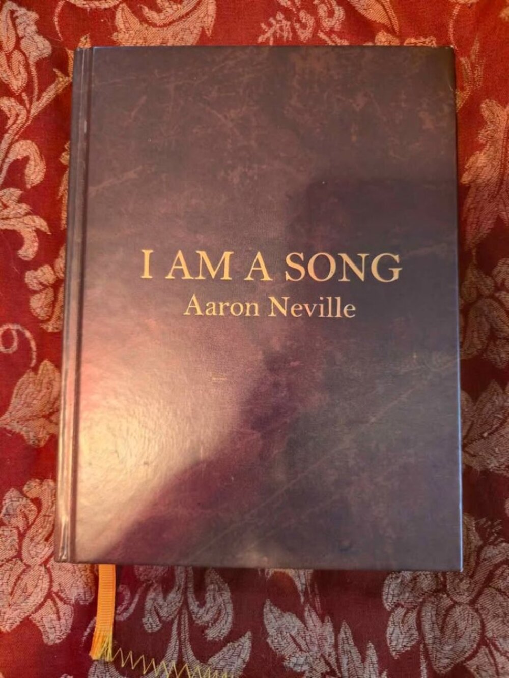 I am A Song Aaron Neville. Excellent Christmas Gift.